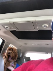 She's going to need a bigger lap... ;)