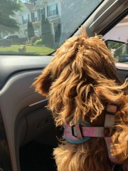 Co-pilot ready for take-off?