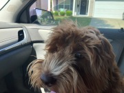 Co-pilot ready for take-off?