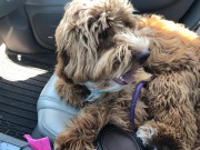 Taking a break in the co-pilot's seat!