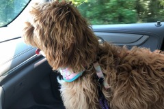 Taking a break in the co-pilot's seat!