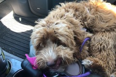 Taking a break in the co-pilot's seat!
