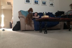Puppy attack!