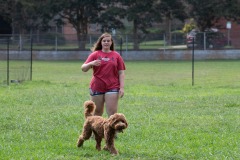 Someone enjoying the doggie park at Dix Park! Someone enjoying the doggie park at Dix Park!