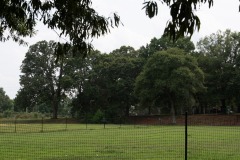 A view from the cheap seats of the other doggie fields... A view from the cheap seats of the other doggie fields...