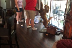 Mitletoe does her dance!