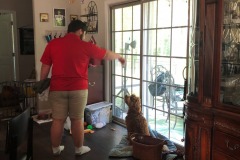 Mitletoe does her dance!