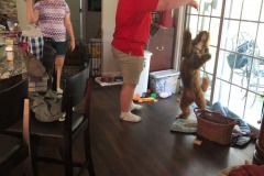 Mitletoe does her dance!
