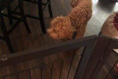 Where's everyone going?