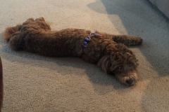 More stretching...
