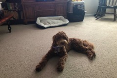 Stretching out for you!