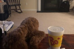 It's BO time!  :)