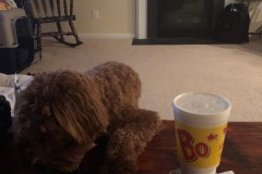 It's BO time!  :)