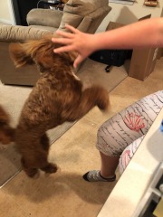 From cute to Cujo in three seconds... :)