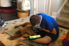Mistletoe and Alex and his iPad