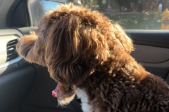 All hail the co-pilot!  :)