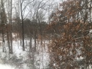 No doubt about the snow behind the house!