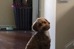 Why won't they come downstairs?!?