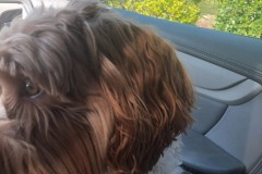 Squirrel moment!