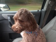 Such a good rider...