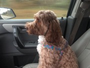 Such a good rider...