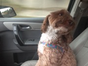 Such a good rider...