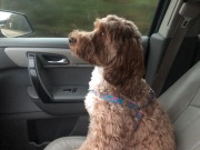 Such a good rider...