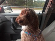 Such a good rider...