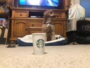 Such good patience!