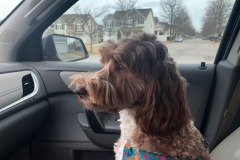 She so loves her rides...