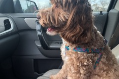 She so loves her rides...