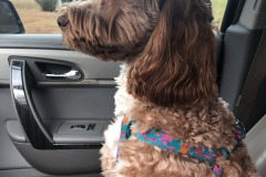 She so loves her rides...
