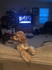 Sometimes I wonder if she thnks she's a cat...