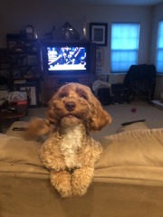Sometimes I wonder if she thnks she's a cat...