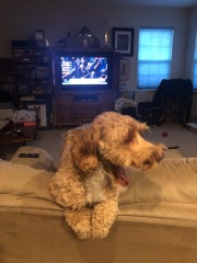 Sometimes I wonder if she thnks she's a cat...