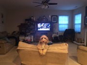 Sometimes I wonder if she thnks she's a cat...