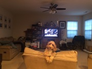 Sometimes I wonder if she thnks she's a cat...