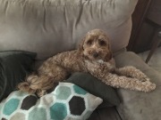 Oh, you want to *SIT* here?  Good luck!