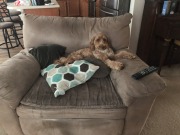 Oh, you want to *SIT* here?  Good luck!