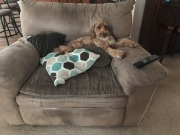 Oh, you want to *SIT* here?  Good luck!