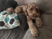 Oh, you want to *SIT* here?  Good luck!