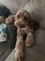 Oh, you want to *SIT* here?  Good luck!