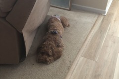I hiding!