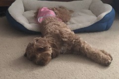 Not really feeling it today...