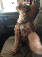 She tossed her mane and made her intentions quite clear!