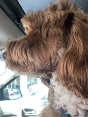 Extreme close-up!
