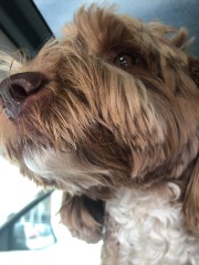 Extreme close-up!