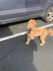 Lots of 'niffering happening round here...