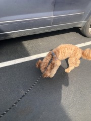 Lots of 'niffering happening round here...