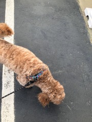 Lots of 'niffering happening round here...